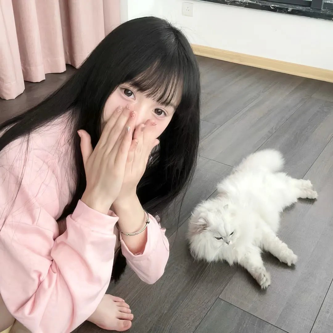 狮路历程